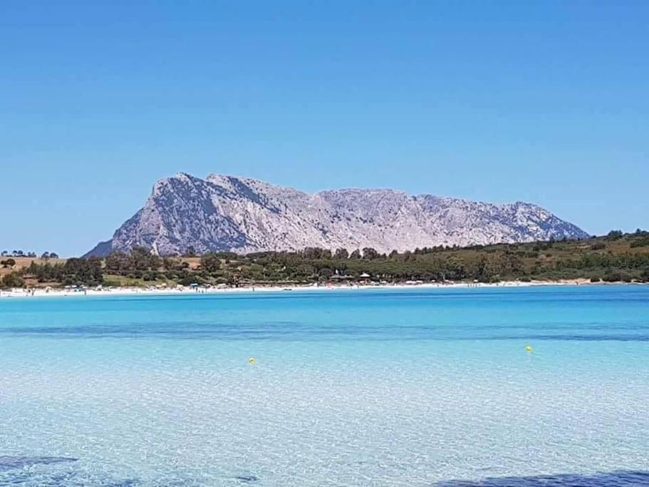 Amazing House 10 Min By Car From The Beach Olbia Exterior foto