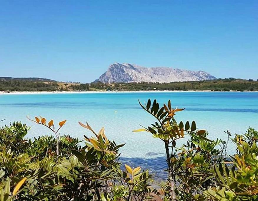 Amazing House 10 Min By Car From The Beach Olbia Exterior foto